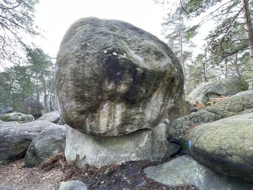 Image of La Toupie Carnivore (assis) (8b+)